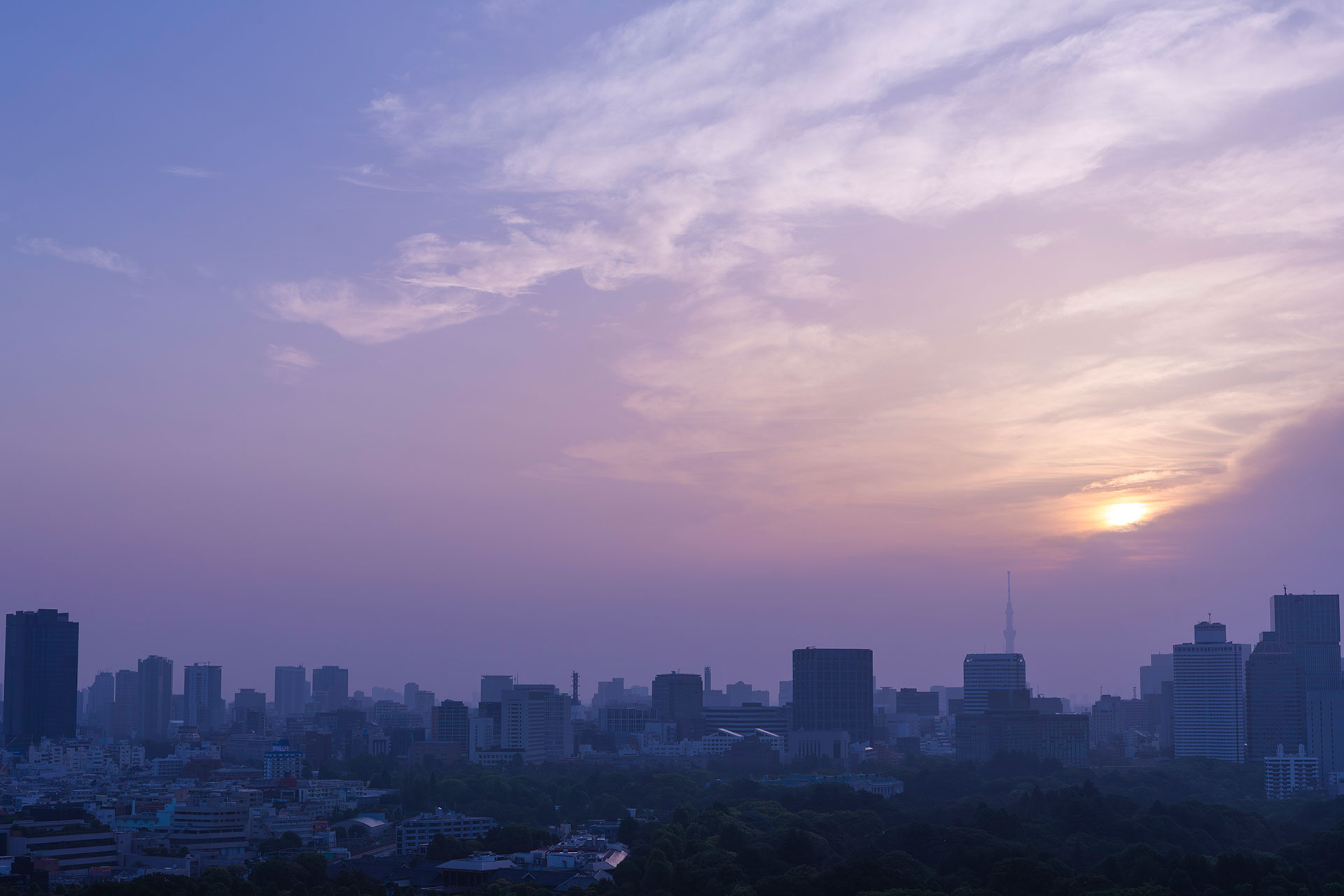 イメージ：SDGsへの取り組み
