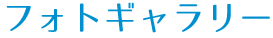 フォトギャラリー